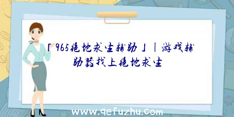 「965绝地求生辅助」|游戏辅助器找上绝地求生